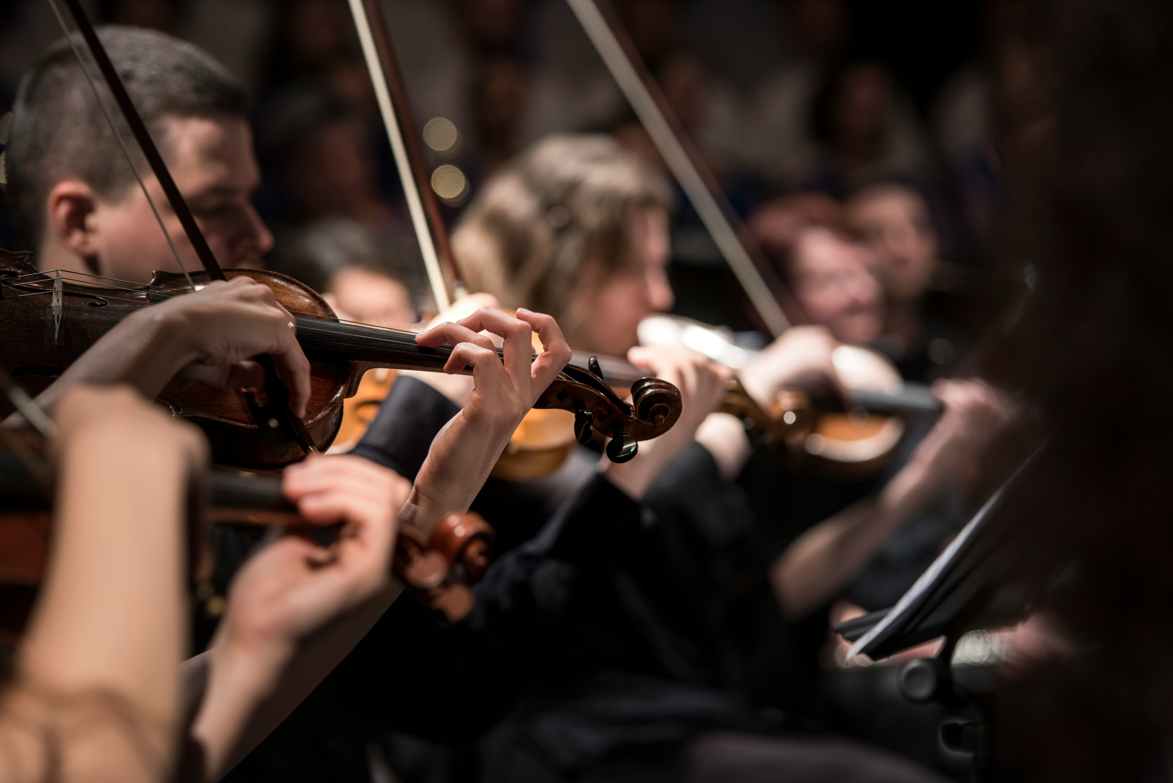 Orchestra Violins